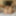 Joven sube sus nudes a internet 