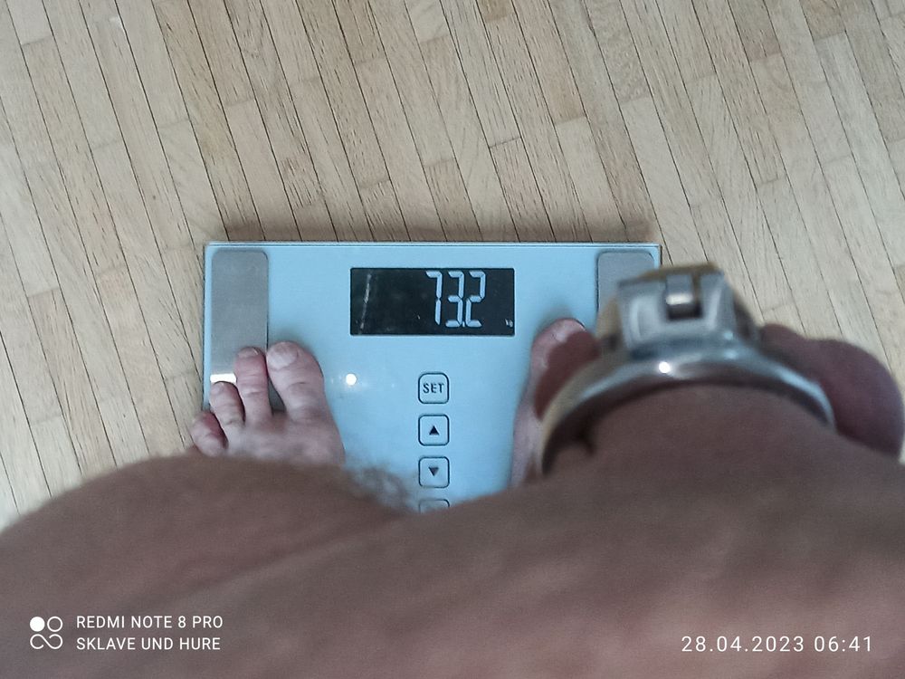 weighing cagecheck 28.04.2023 #17