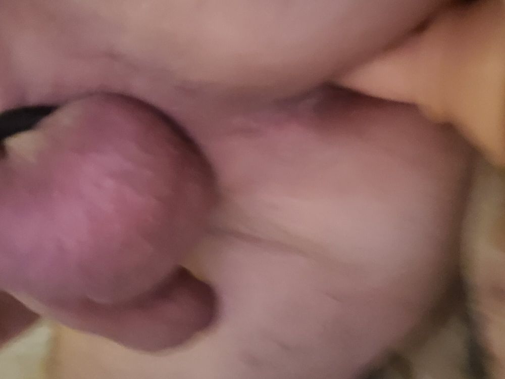 new pictures of my husband&#039;s little cock, it&#039;s so nice to su #25