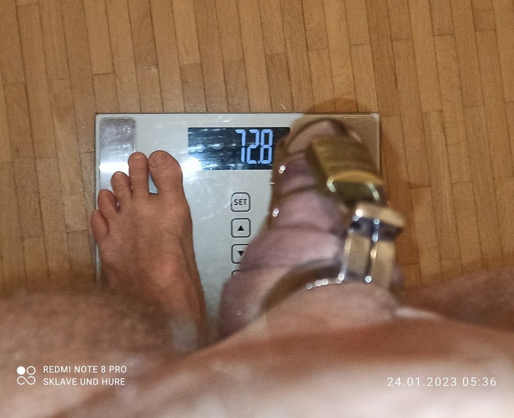 mandatory weighing and cagecheck of 24.01.2023 #7