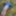 Cover up, reveal #10
