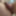 新しい写真