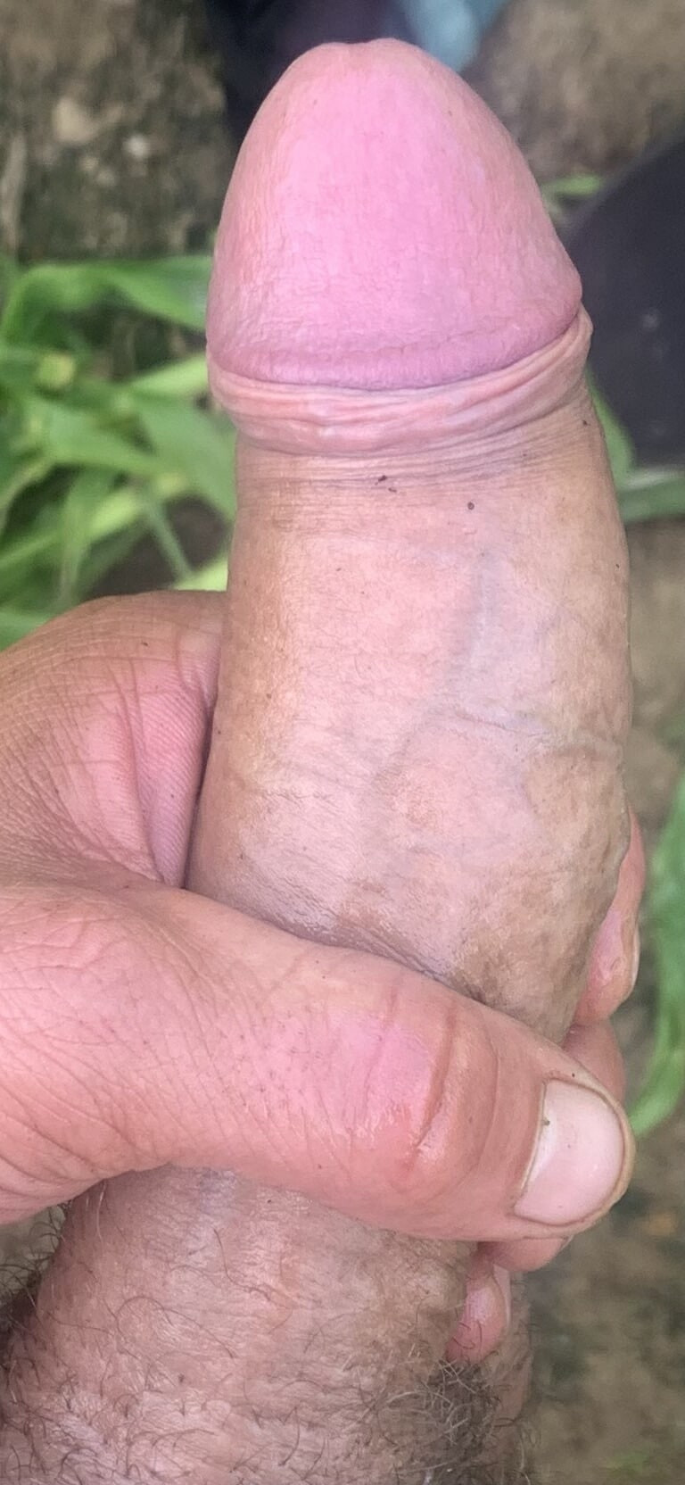 Cock #19