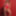 Kelsi Monroe and AJ Applegate Sexy Photo Shoot