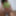 Lingerie White and Green
