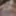 Out of control jockslut masturbator #6