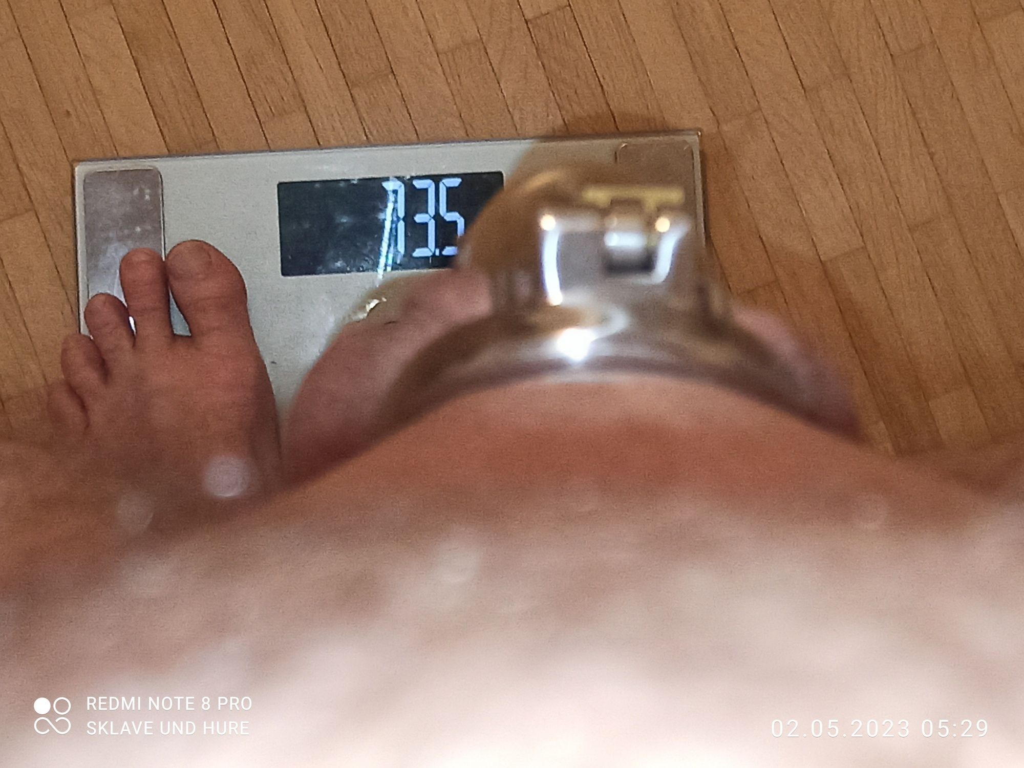 Disobedient slave after weighing, cagecheck 02.05.2023 #23