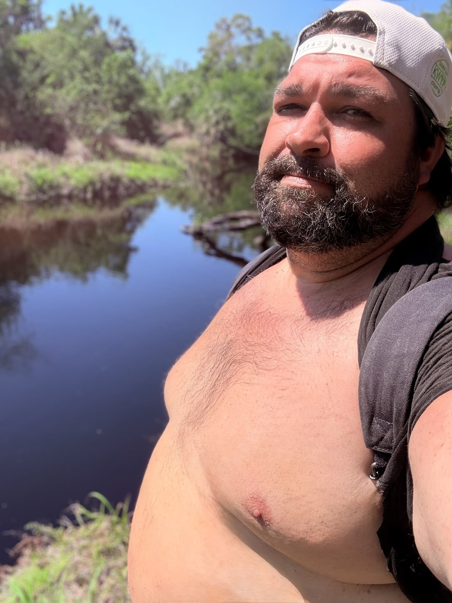 Hiking Bear