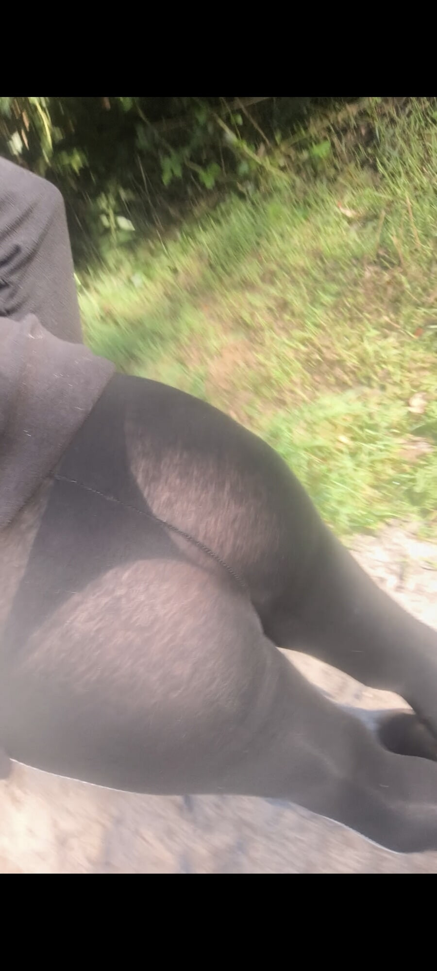 See through walking in the forrest