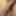 コックの写真