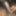 Bbc Cumshot YoungStarBrazy 