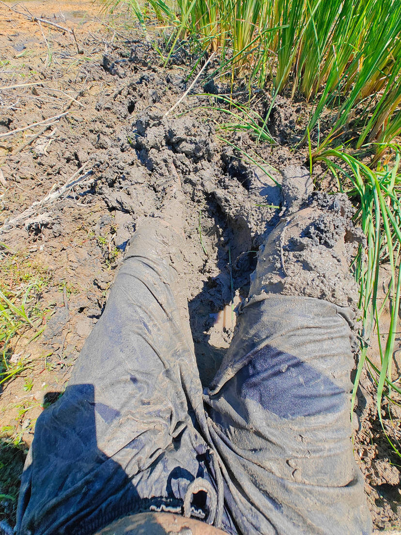 Muddy Feet and Solo #6