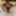 Sexy BBW Spank Me Hotel Pics #35