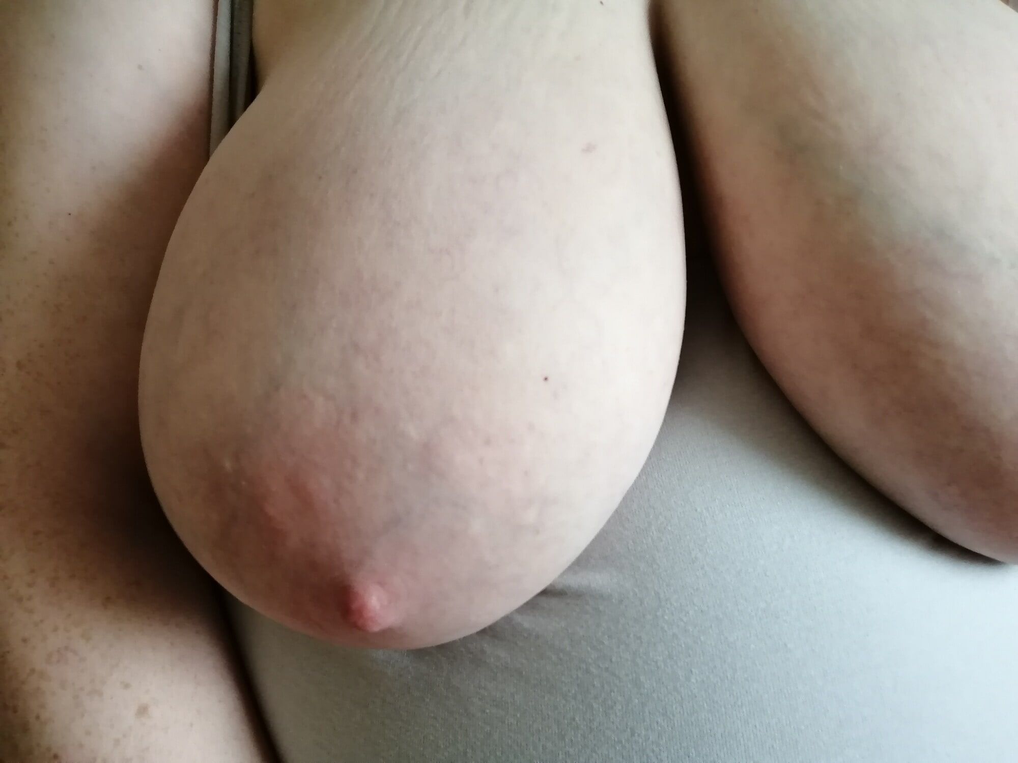 Good-quality photos of my tits #43