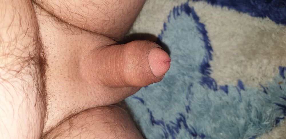 Little Dick 3