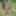 Bondage and piss games in the forest with porn woman #20