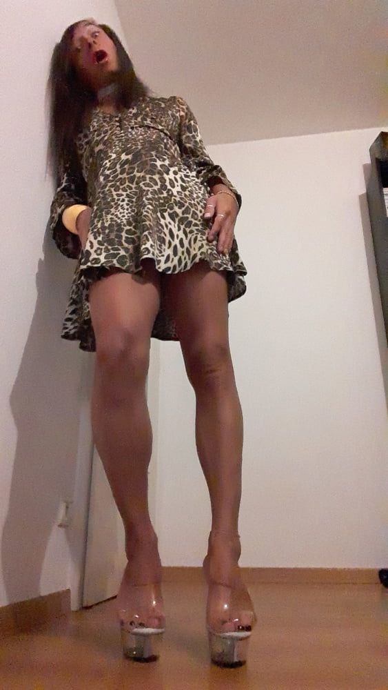 Sissy Tygra in leopard dress on 2019 octobre. #52