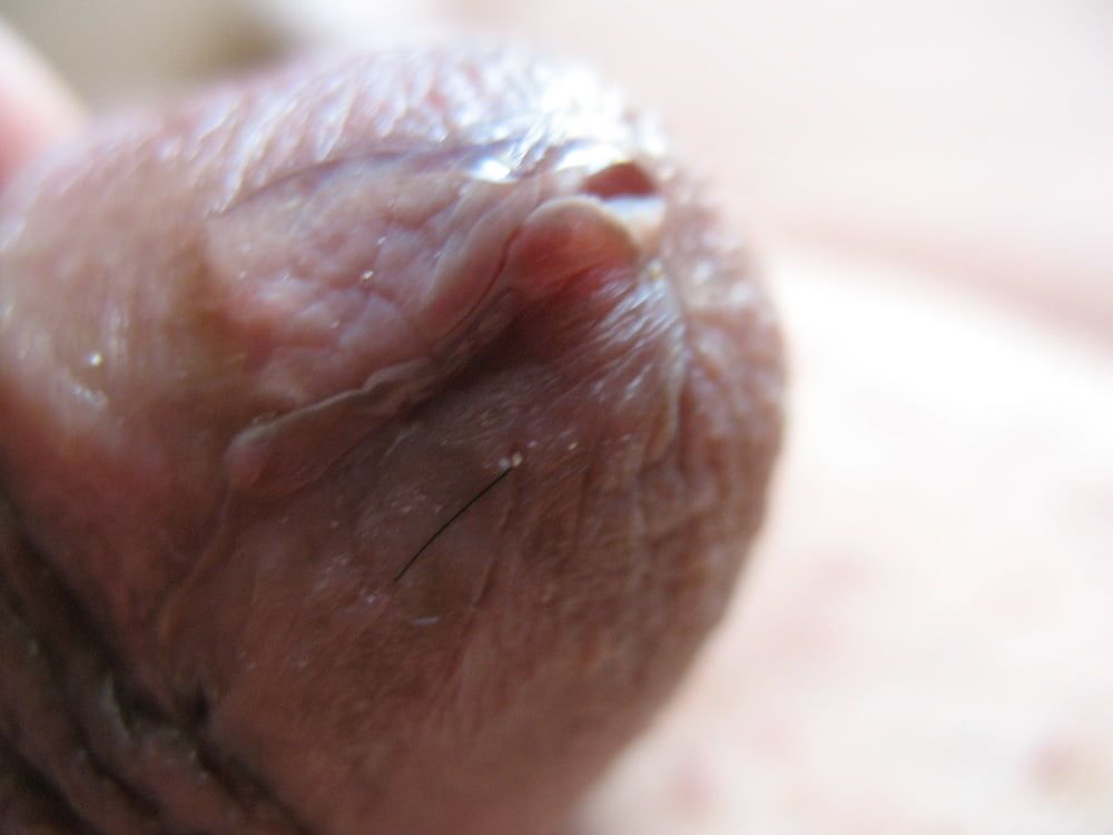 Cute little cock with precum #11