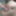 トラニーヤリクの新しい写真