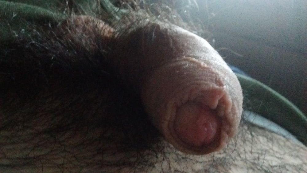 New pics my cock, ass #7