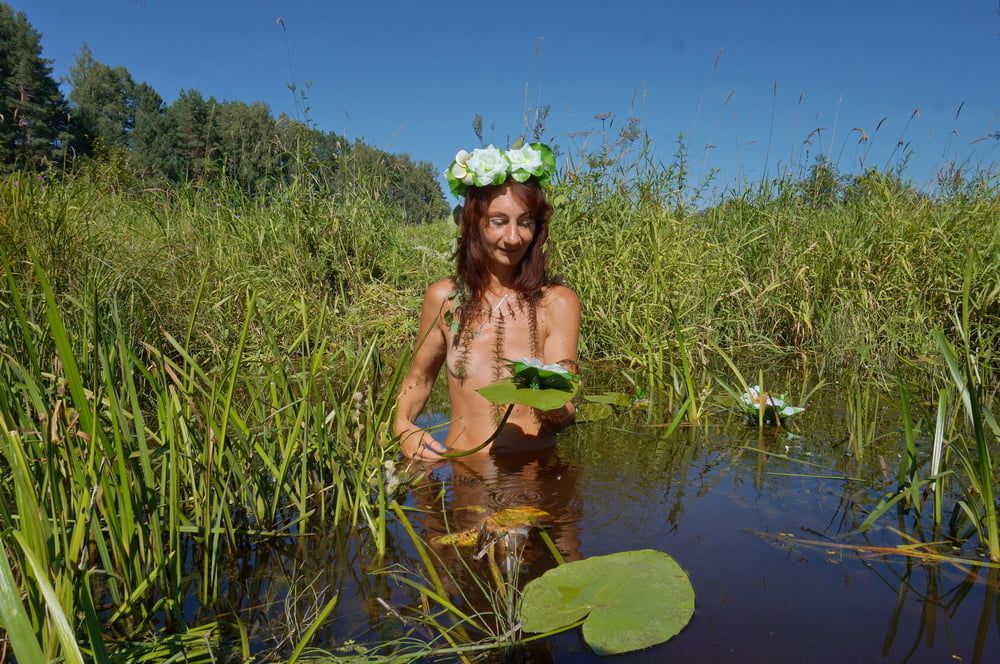 In pond with waterflowers #5
