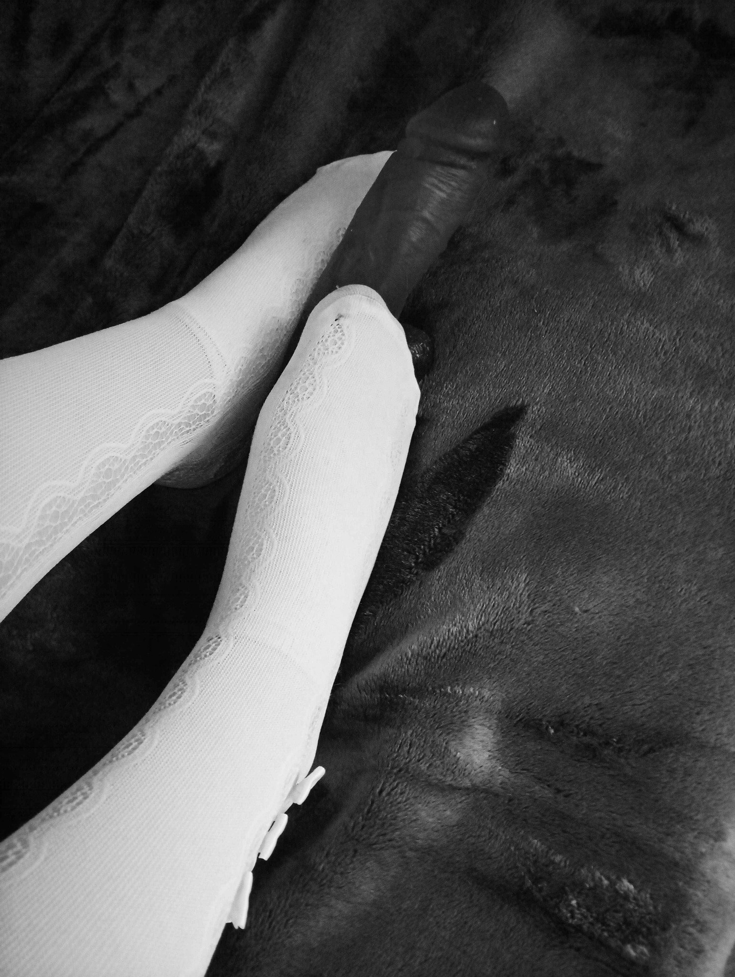 Feet on a big D