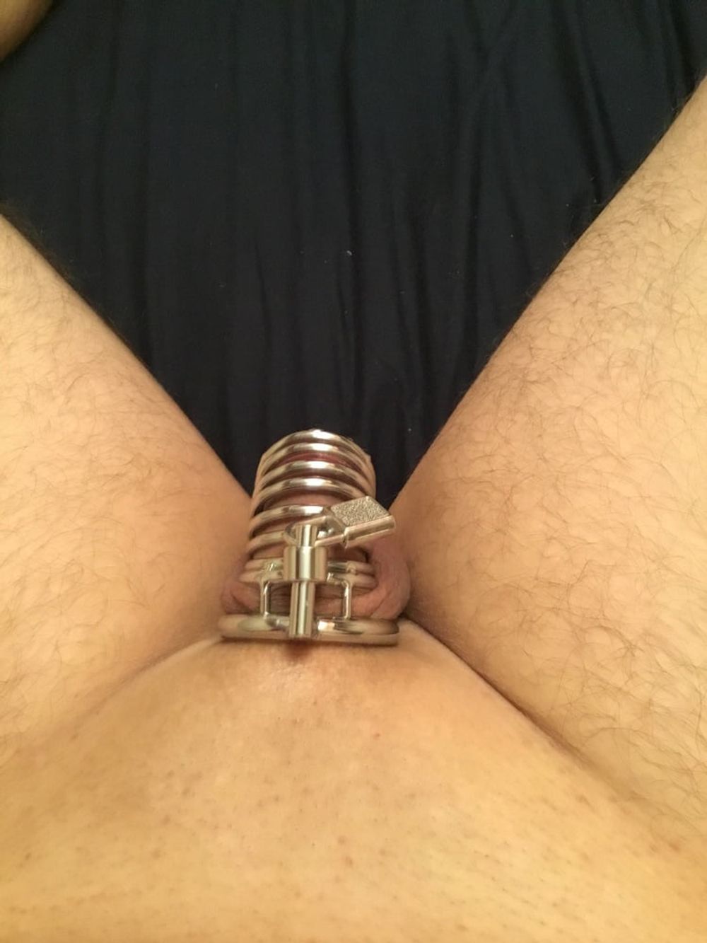 Cock cage #9