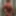 G_Stallion_MIA Free Photos