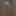 My dick pics January 2025