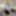 TRANSVR: Come Play With Stacie Delight! #2