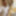 Amateur crossdresser Kellycd2022 sexy milf in white lace #51