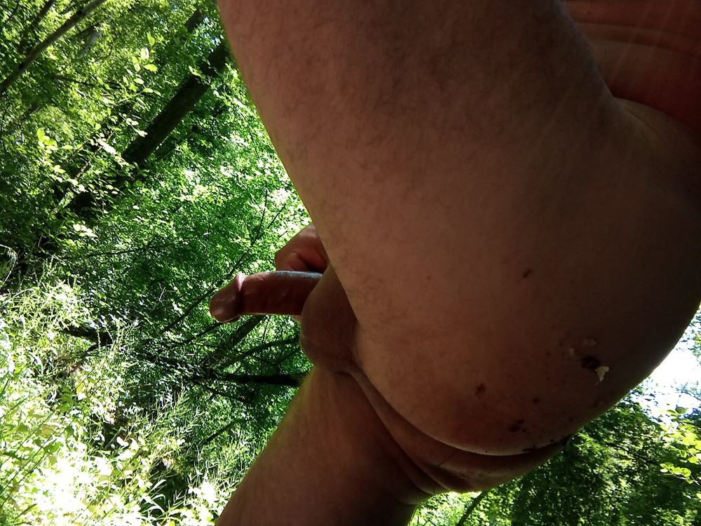 Le 02 Juin 2020 . #20