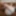 FEMOUT.XXX: The Full Package