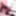 Bondex total nylon encasement #14