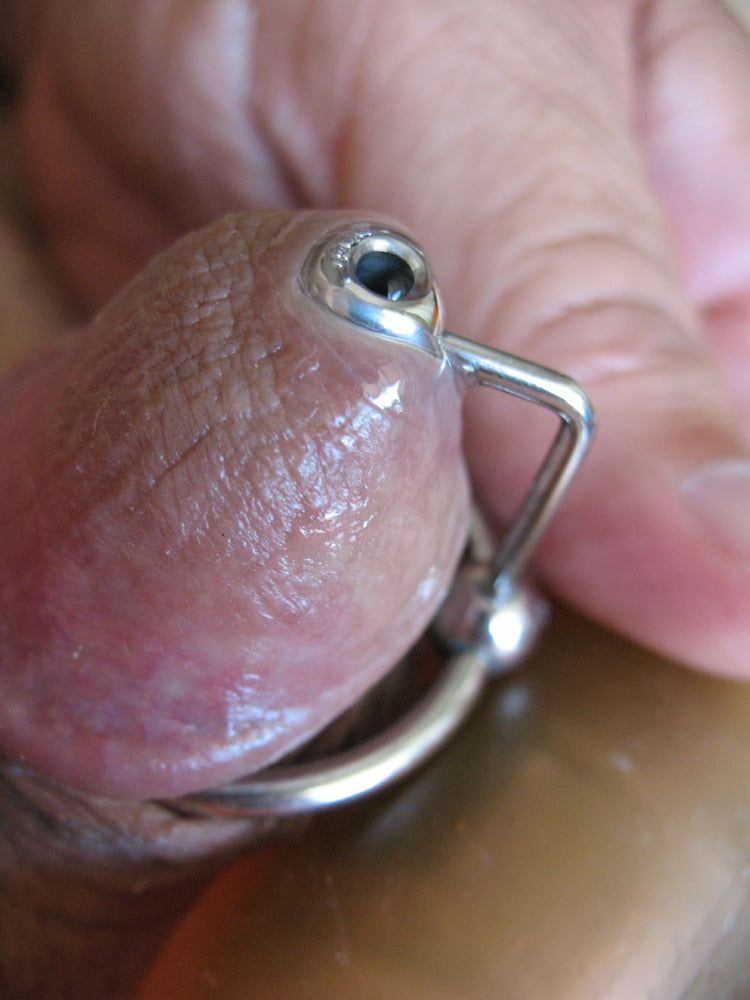 More steel in my cock with glans ring #55