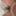 Test Gallery #9
