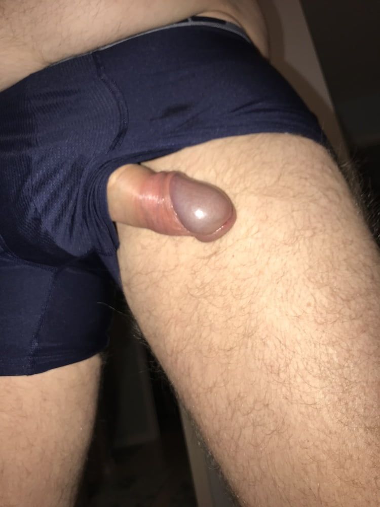 Cock  #8