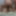 GIFs for Pro-Am scenes 201-205