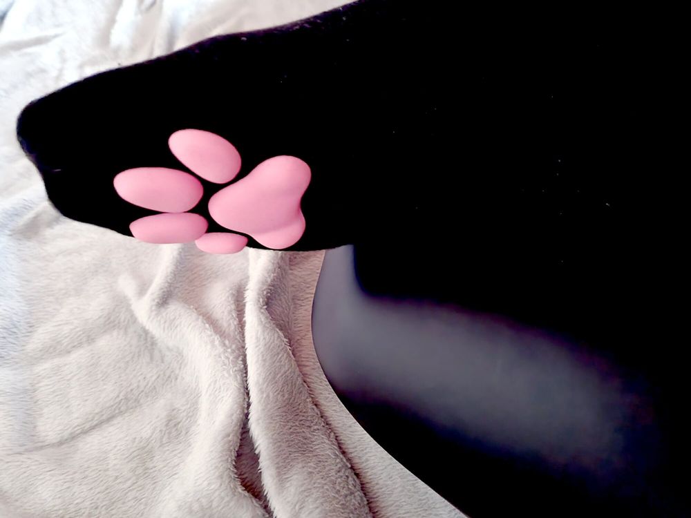 My sweet Paw socks #7