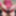 Sissy pegging with massive strapon