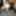 FEMOUT.XXX: The Camera Never Lies