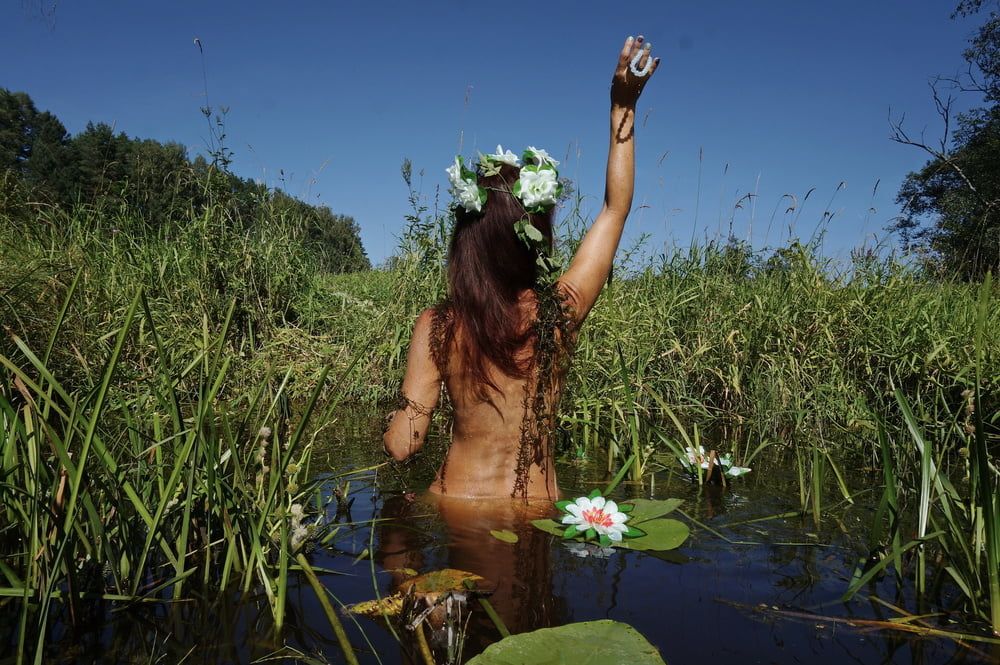  In Pond with Waterflowers 2 #43