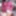 Some Gifs of me 