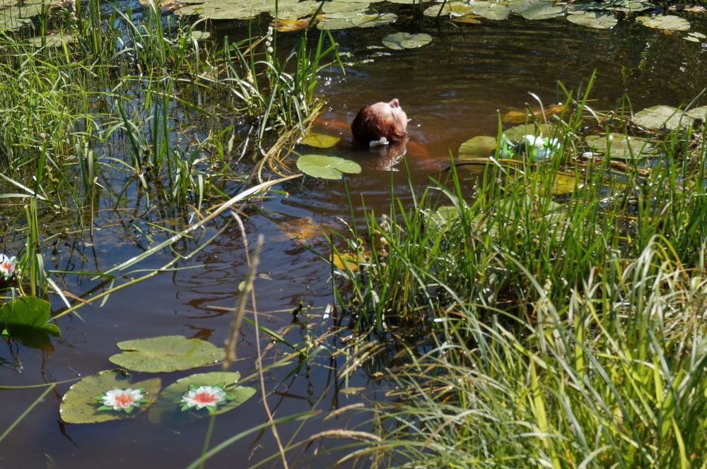 Nude in lazy river #48