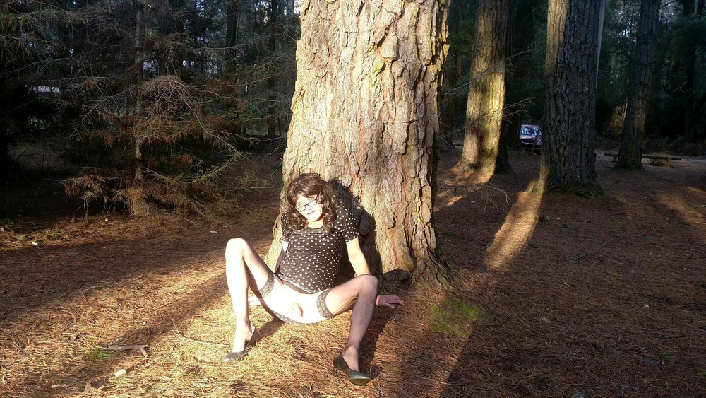 Crossdress Roadtrip - Pine Forest #15