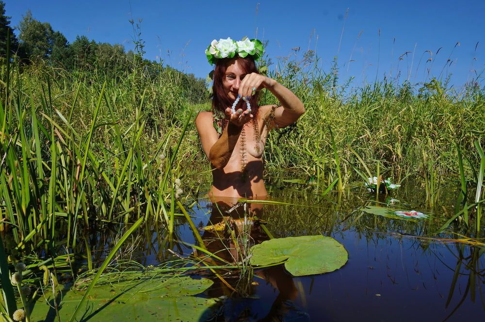 In pond with waterflowers #18