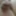 My tiny dick  #2