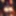 hot furry girls (Ai model)
