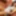 GROOBY-ARCHIVES: Welcome Twilli Tivianne #3
