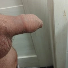 Penis